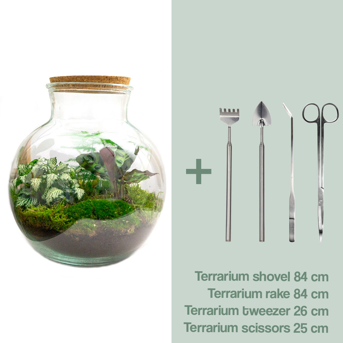 Diy Terrarium – Teddy – ↑ 26,5 Cm