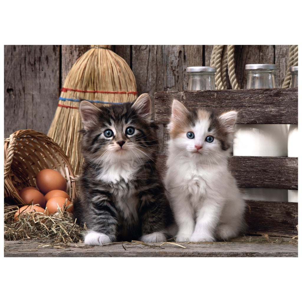 Clementoni Puzzel Lovely Kittens 1000 Stukjes