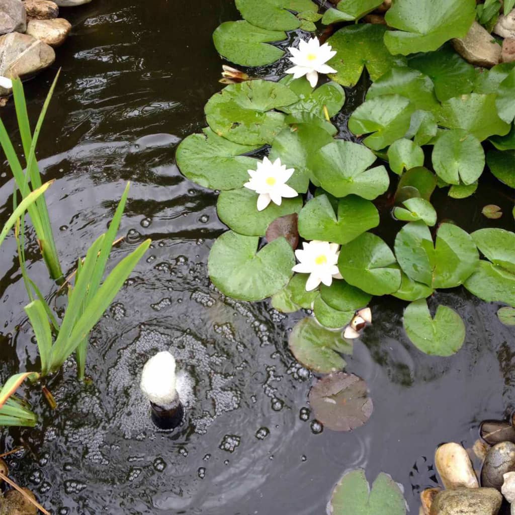 Ubbink 3-Delige Waterlelieset Decoratief Wit