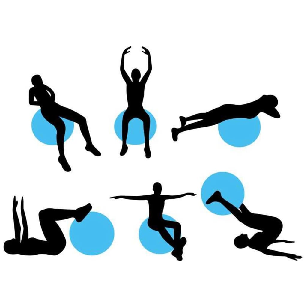 Avento Fitnessbal 75 Cm Zwart 41Vn-Zwa-75