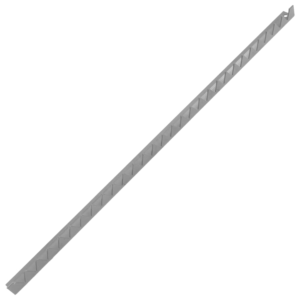 Muurspikes 10 St 1 M Gegalvaniseerd Staal Zilverkleurig