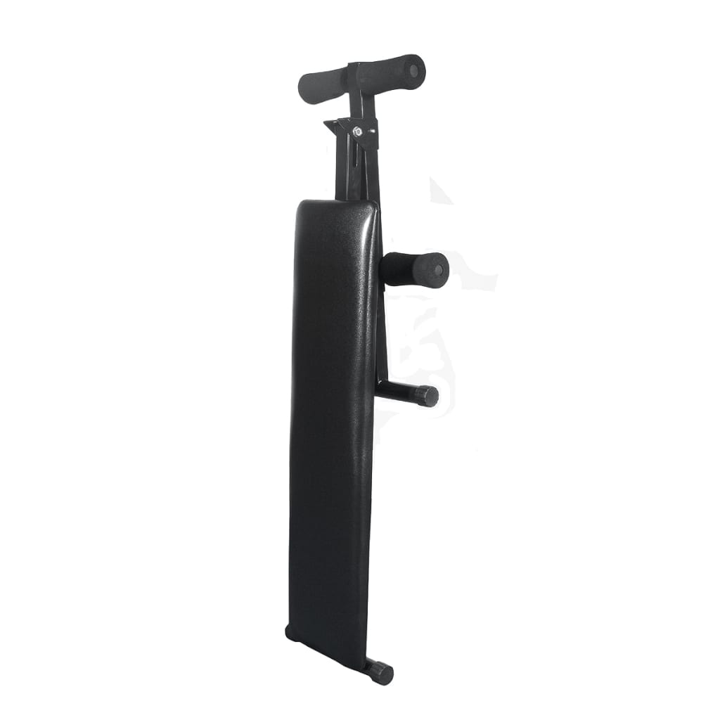 Buik Trainer Bench Su-9061
