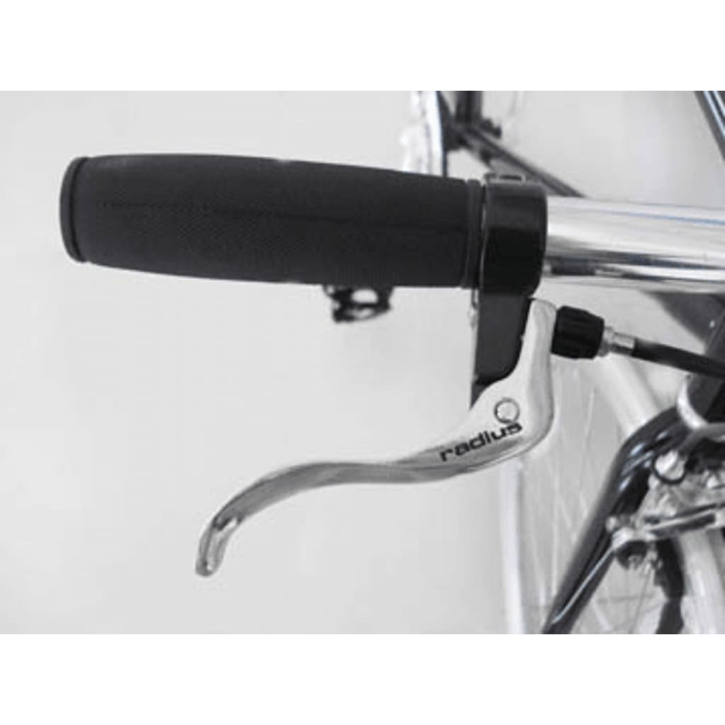 Fixed Gear Bike Zwart
