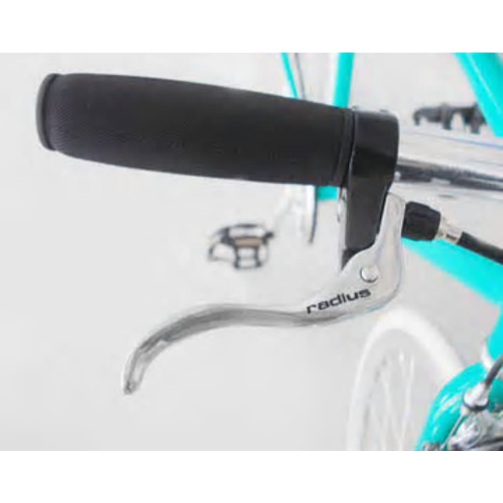 Fixed Gear Bike Groen