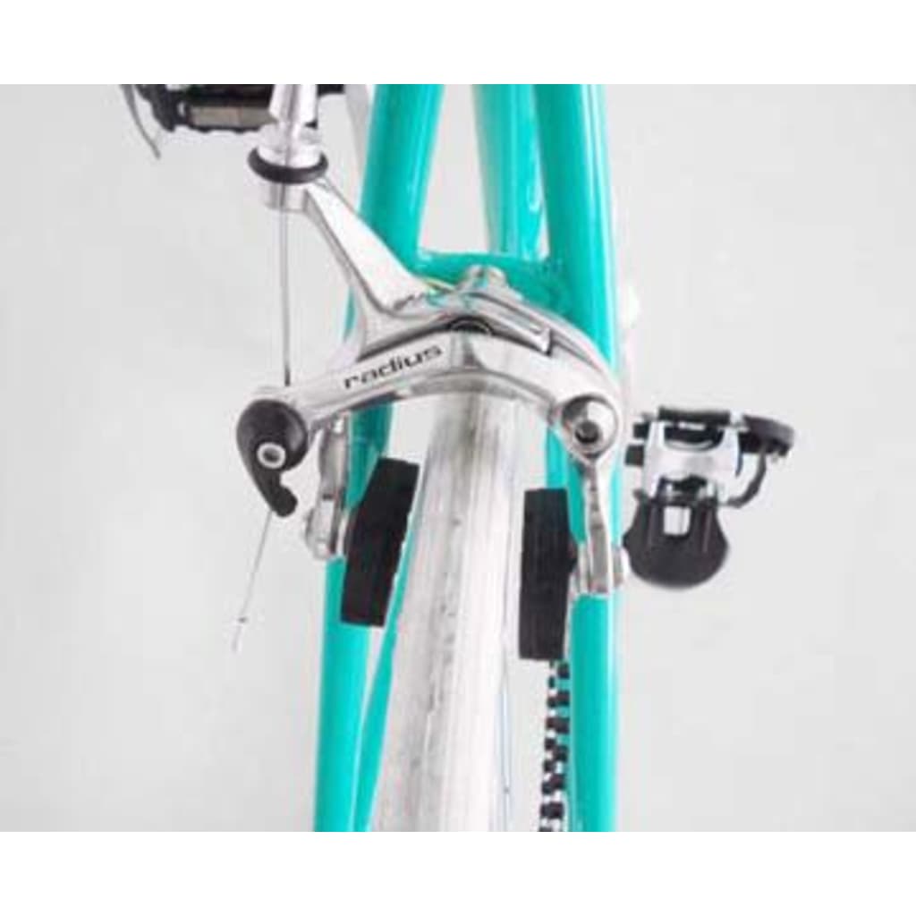 Fixed Gear Bike Groen