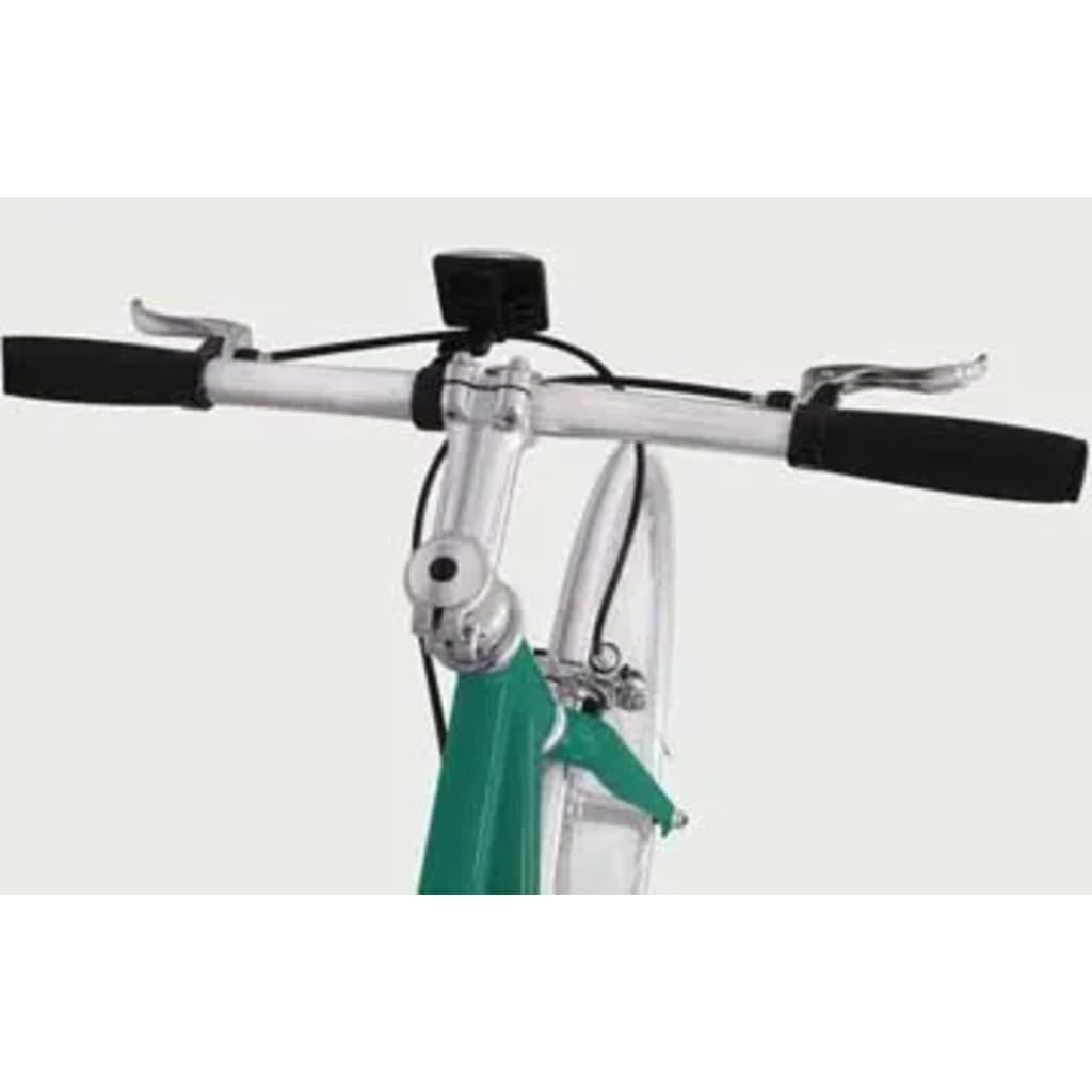 Fixed Gear Bike Groen