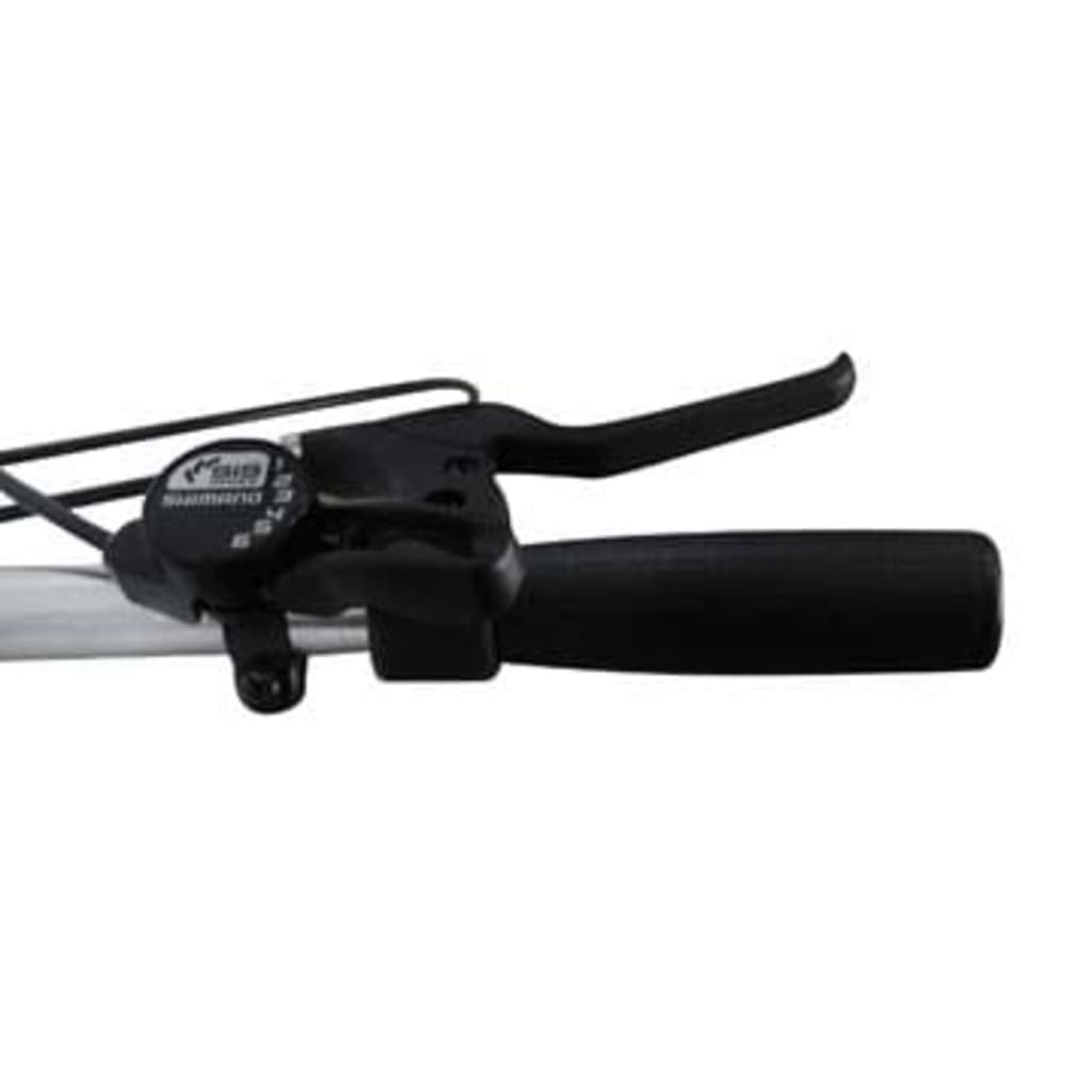 Vouwfiets 20" Met Vering En 6 Versnellingen
