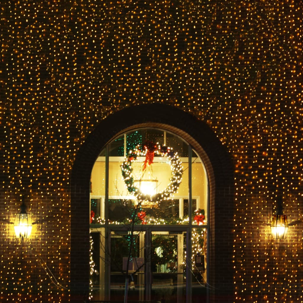 Kerstverlichting Lichtnet 3.2 X 1.5 M (200 Leds)