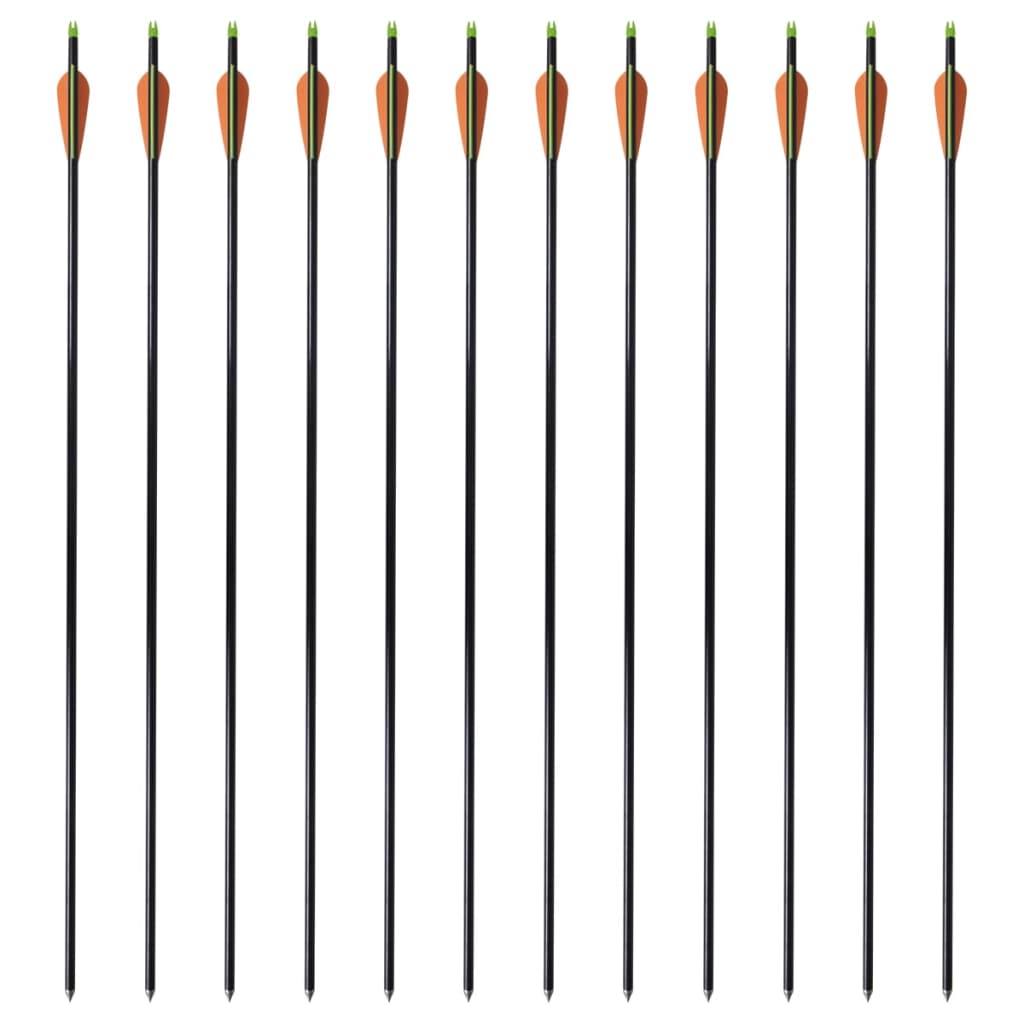 Pijlen Compoundboog Standaard 30" 0,8 Cm Glasvezel 12 Stuks