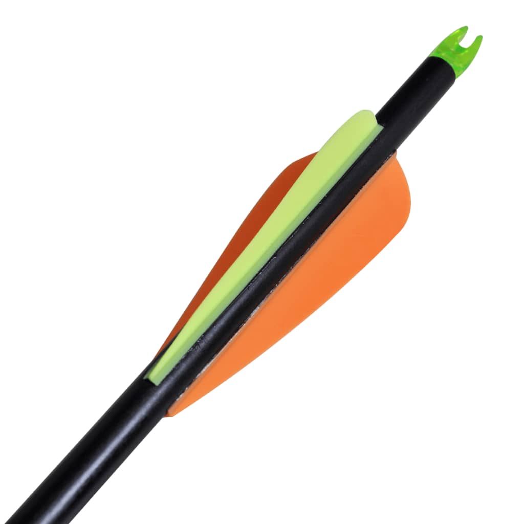 Pijlen Compoundboog Standaard 30" 0,8 Cm Glasvezel 12 Stuks