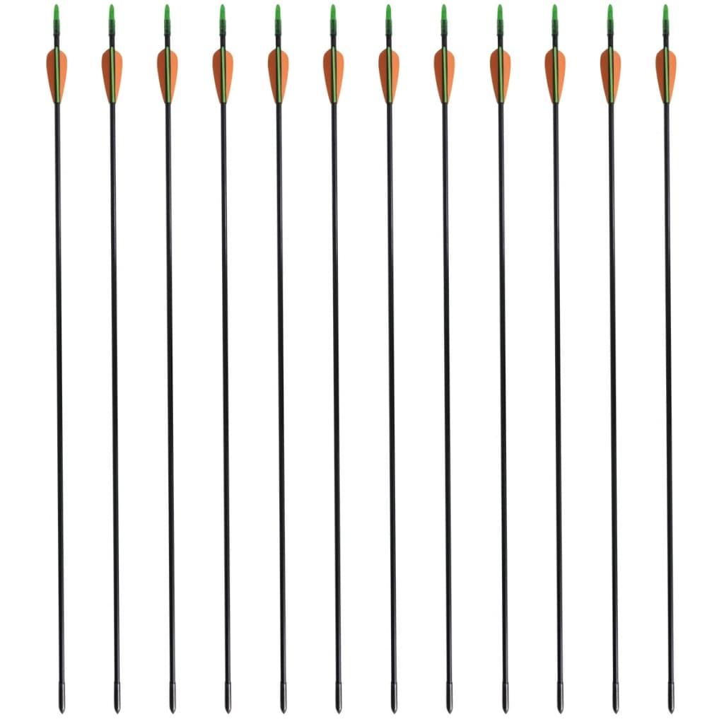 Pijlen Voor Recurveboog Standaard 30" 0,6 Cm Glasvezel 12 Stuks