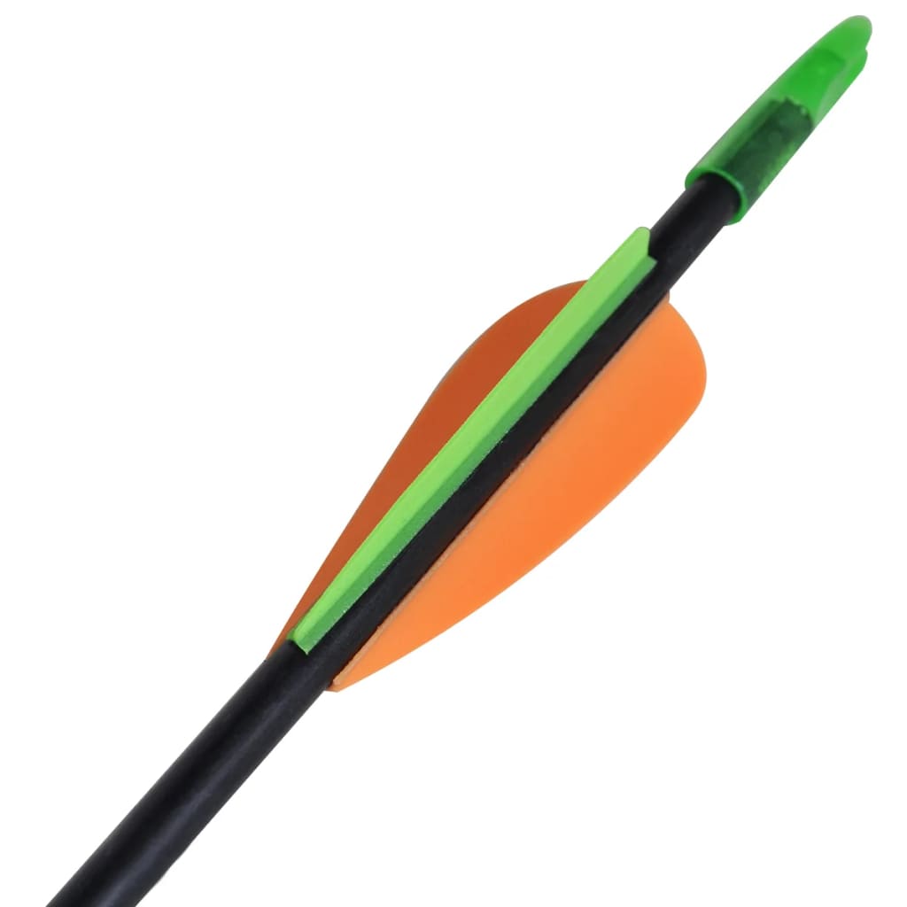 Pijlen Voor Recurveboog Standaard 30" 0,6 Cm Glasvezel 12 Stuks
