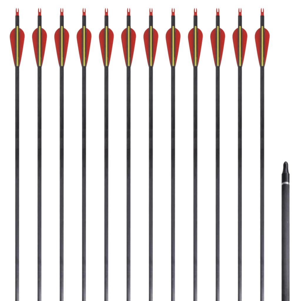 Pijlen Voor Recurveboog Standaard 30" 0,76 Cm Koolstof 12 Stuks