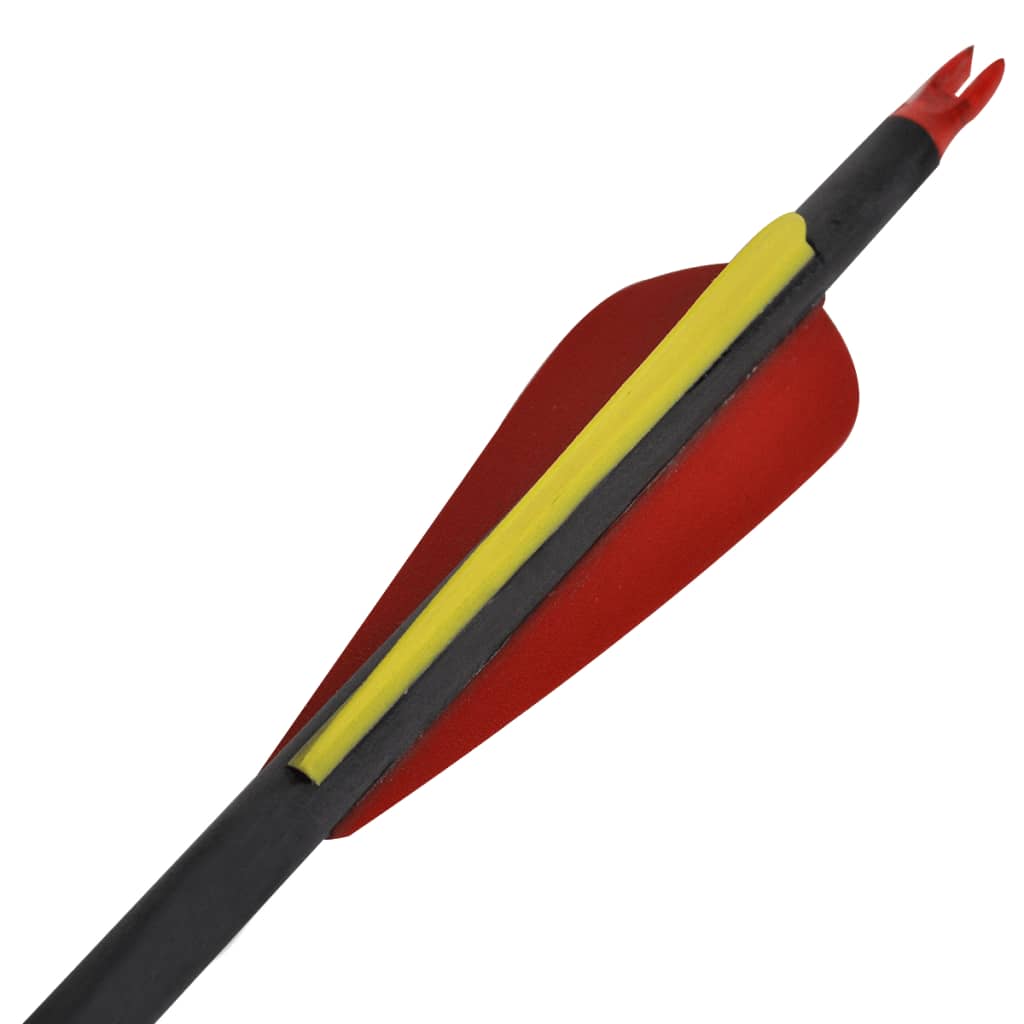 Pijlen Voor Recurveboog Standaard 30" 0,76 Cm Koolstof 12 Stuks
