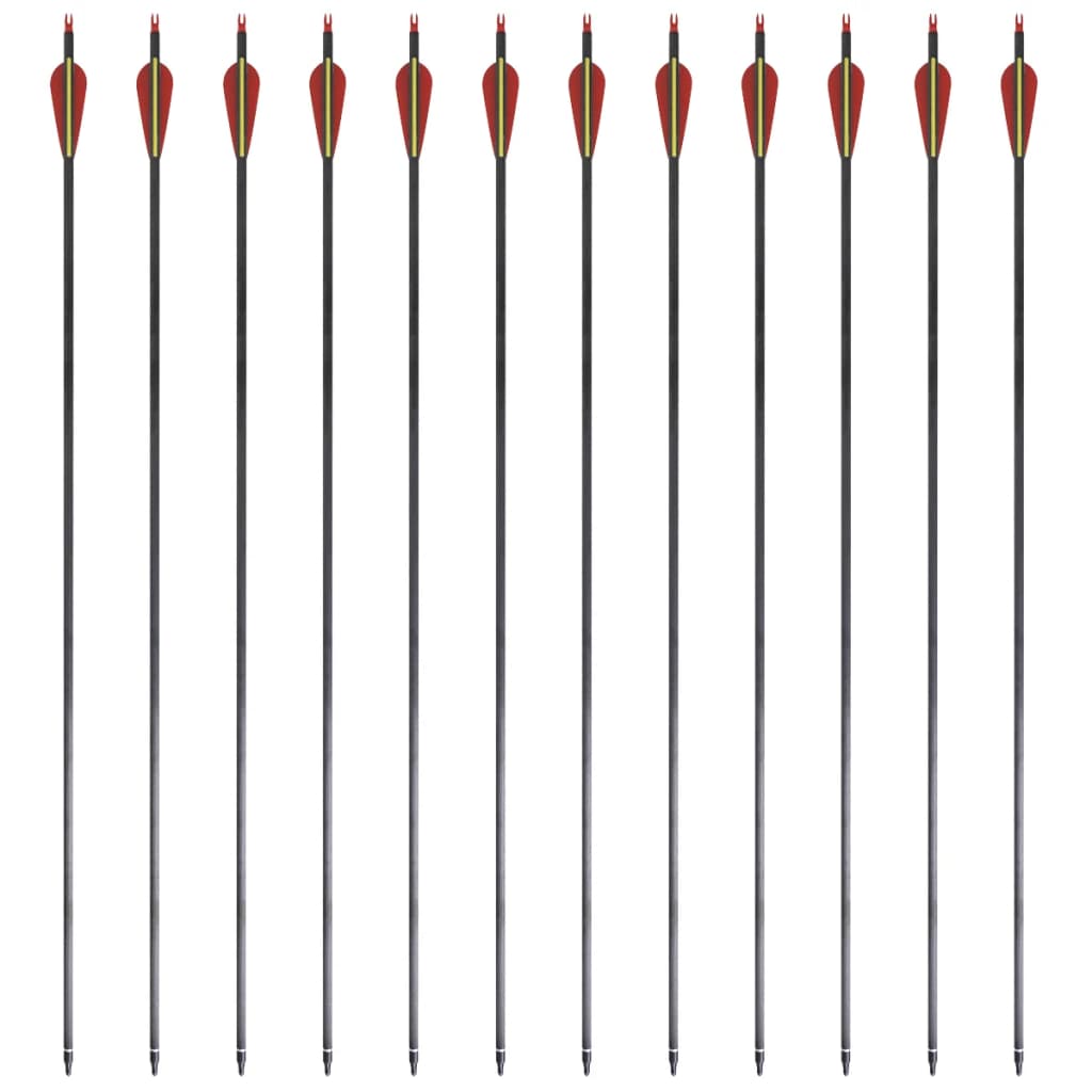 Pijlen Voor Recurveboog Standaard 30" 0,76 Cm Koolstof 12 Stuks