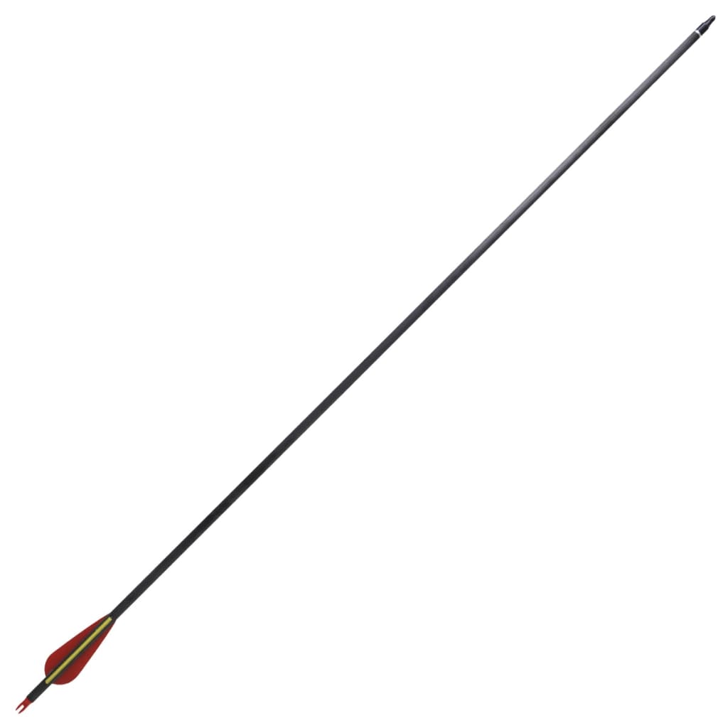 Pijlen Voor Recurveboog Standaard 30" 0,76 Cm Koolstof 12 Stuks