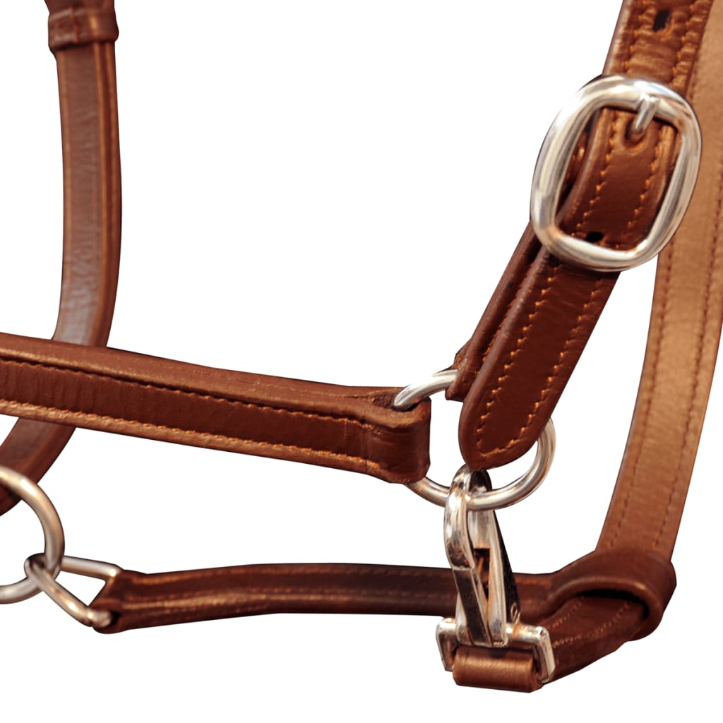 Halster Verstelbaar Pony Echt Leer Bruin