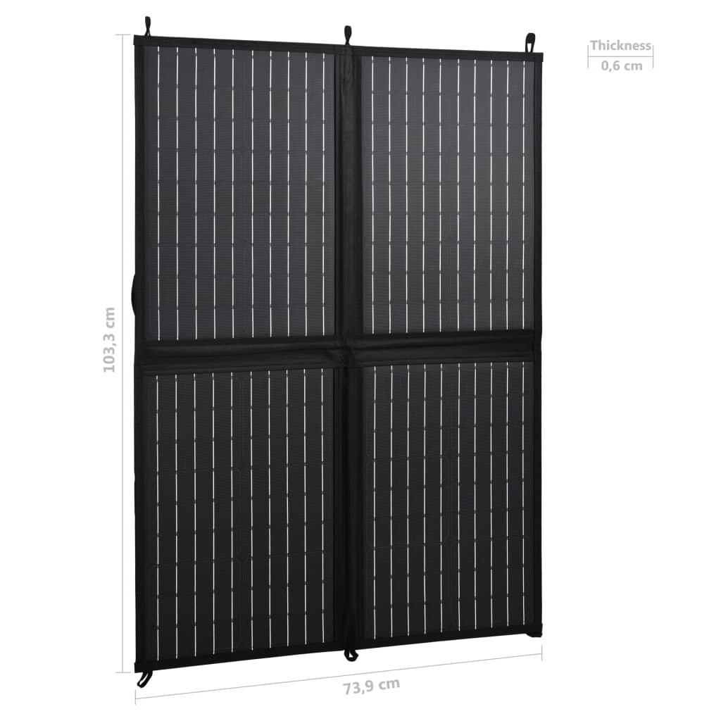 Zonnepaneeloplader Inklapbaar 100 W 12 V