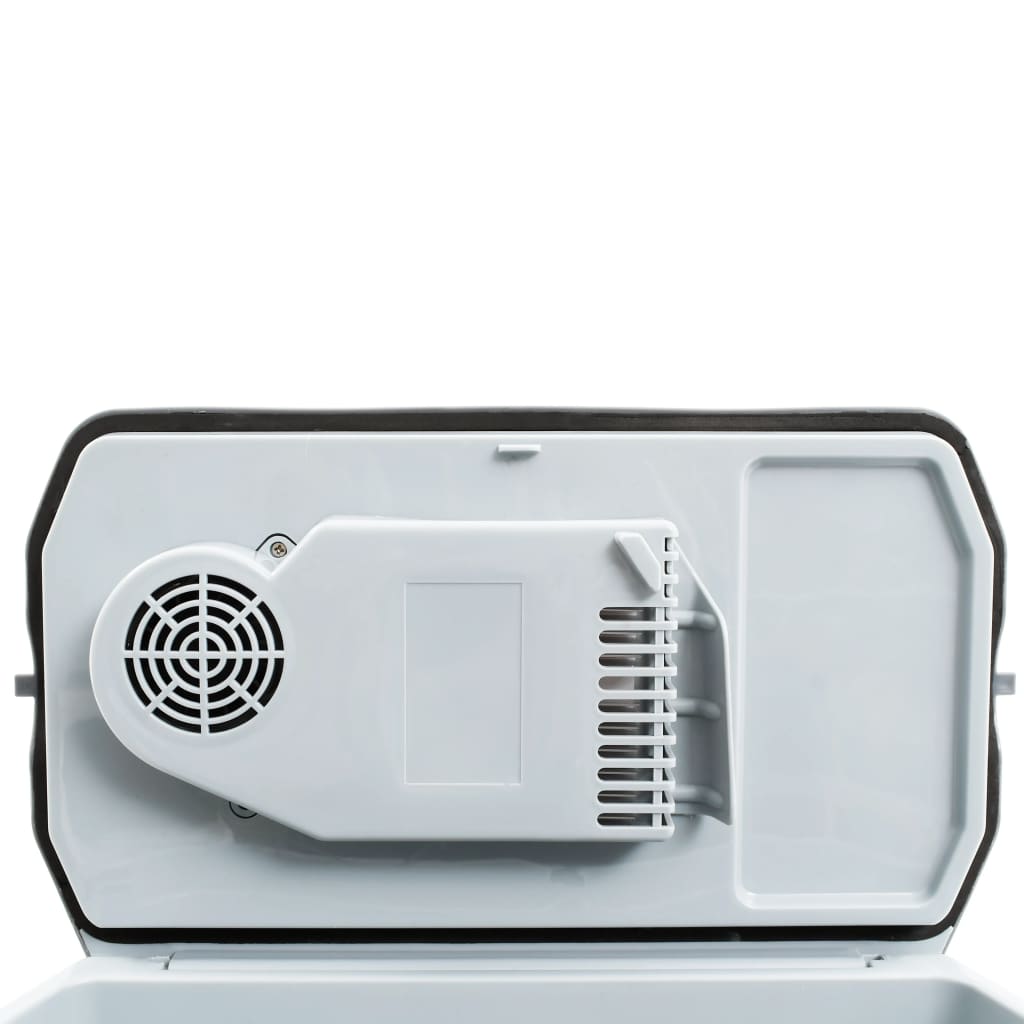 Koelbox Thermo-Elektrisch Draagbaar 12 V 230 V E 20 L