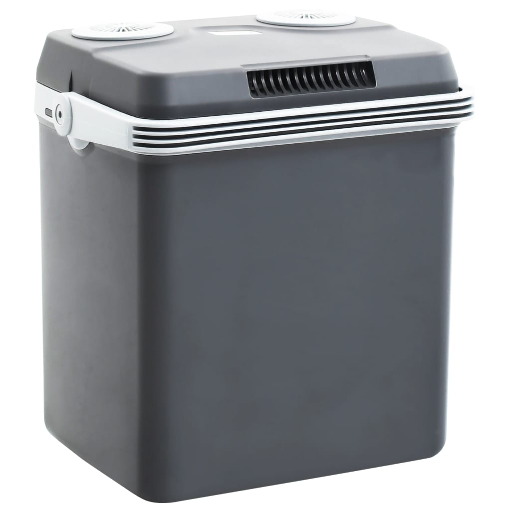 Koelbox Thermo-Elektrisch Draagbaar 12 V 230 V A++ 32 L