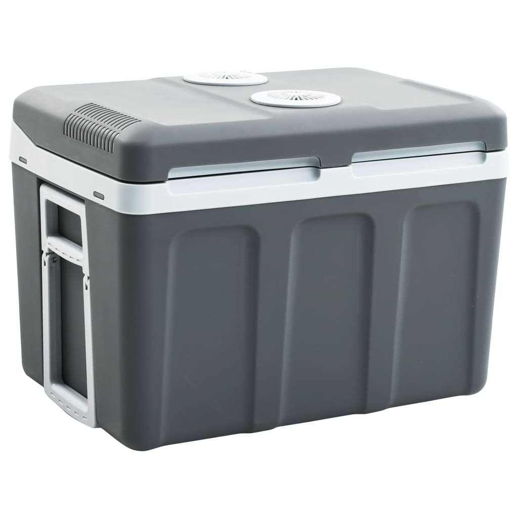 Koelbox Thermo-Elektrisch Draagbaar 12 V 230 V A++ 45 L
