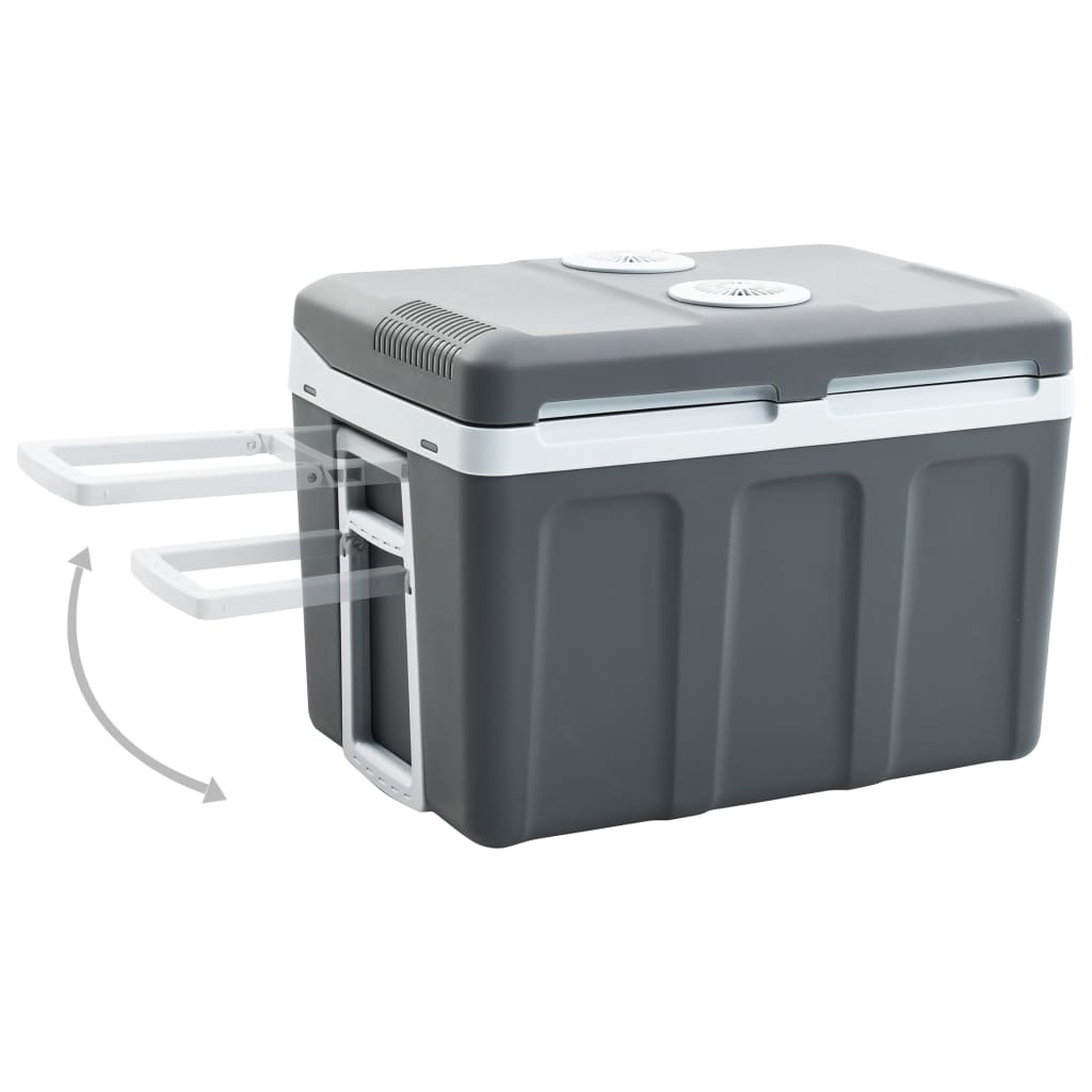 Koelbox Thermo-Elektrisch Draagbaar 12 V 230 V A++ 45 L