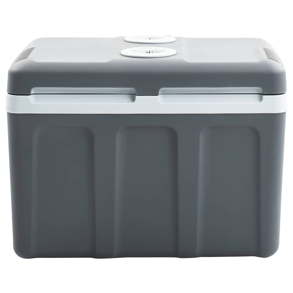 Koelbox Thermo-Elektrisch Draagbaar 12 V 230 V A++ 45 L
