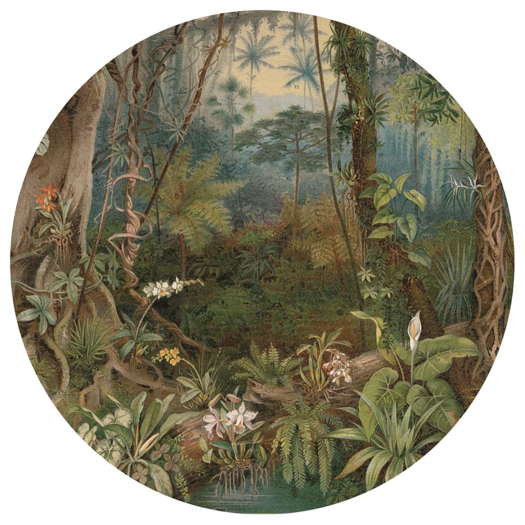 Wallart Behangcirkel In The Jungle 142,5 Cm
