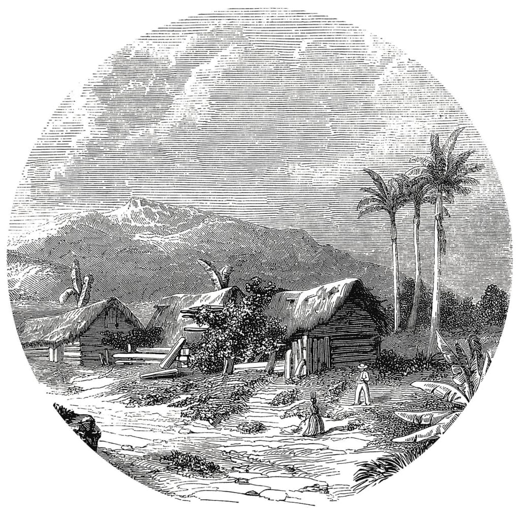 Wallart Behangcirkel Landscape Of Guadeloupe 190 Cm