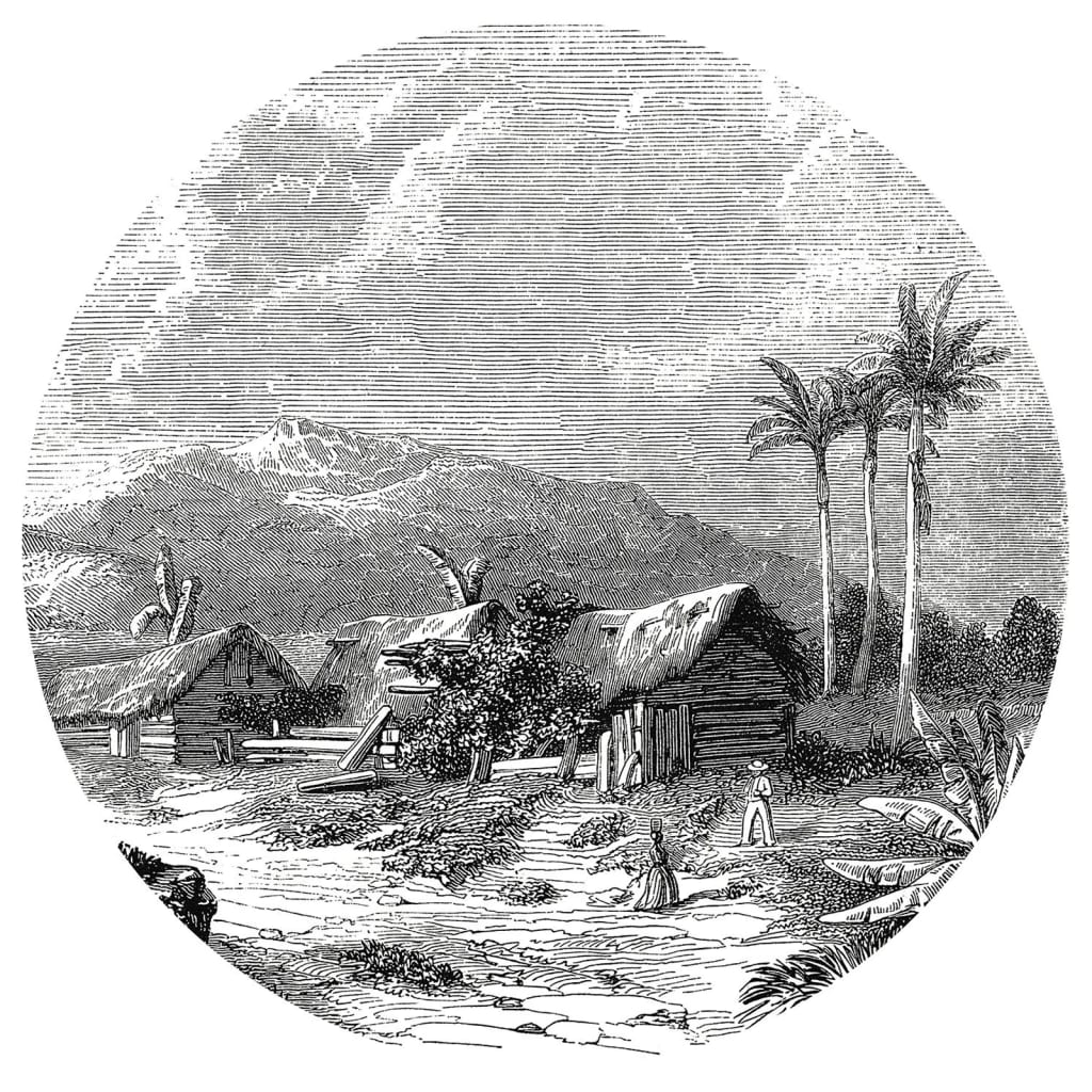 Wallart Behangcirkel Landscape Of Guadeloupe 142,5 Cm
