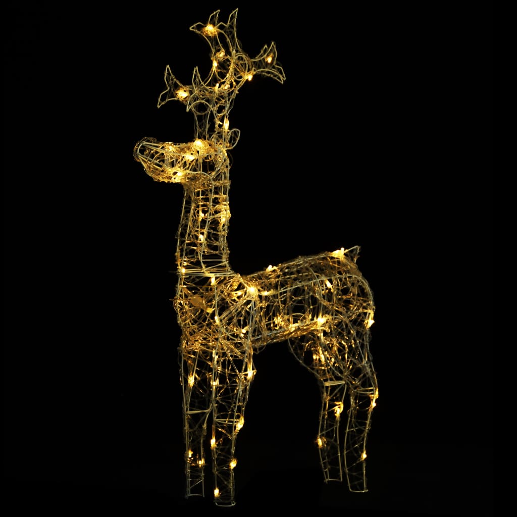 Kerstversiering Rendier 90 Led's 60X16X100 Cm Acryl