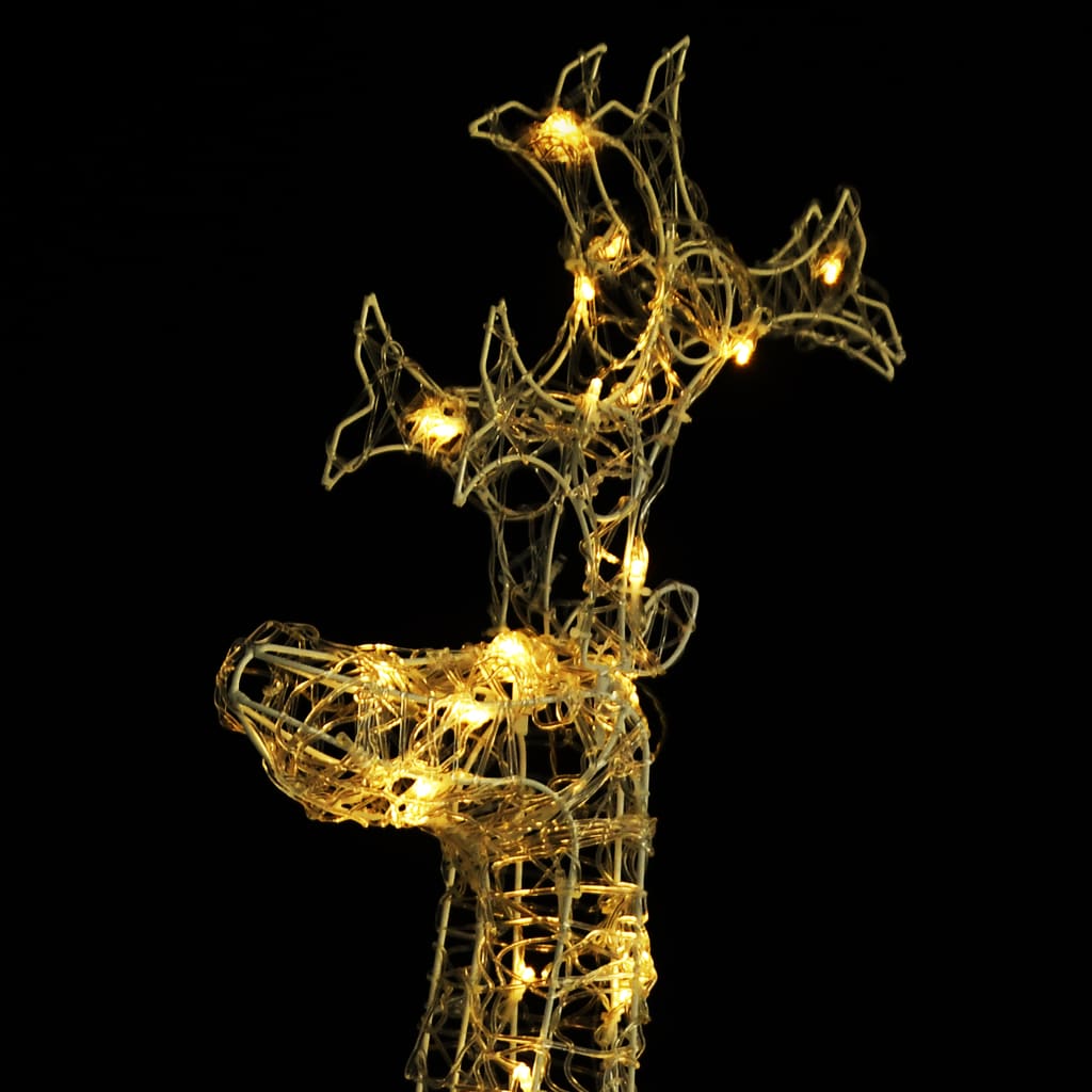 Kerstversiering Rendier 90 Led's 60X16X100 Cm Acryl