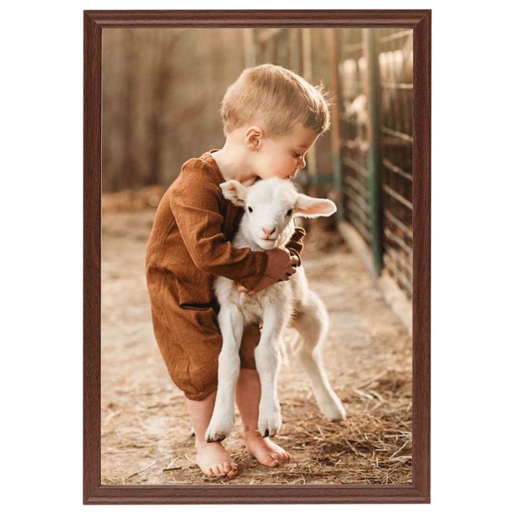Fotolijsten 5 St Voor Wand Of Tafel 18X24 Cm Mdf Bruin