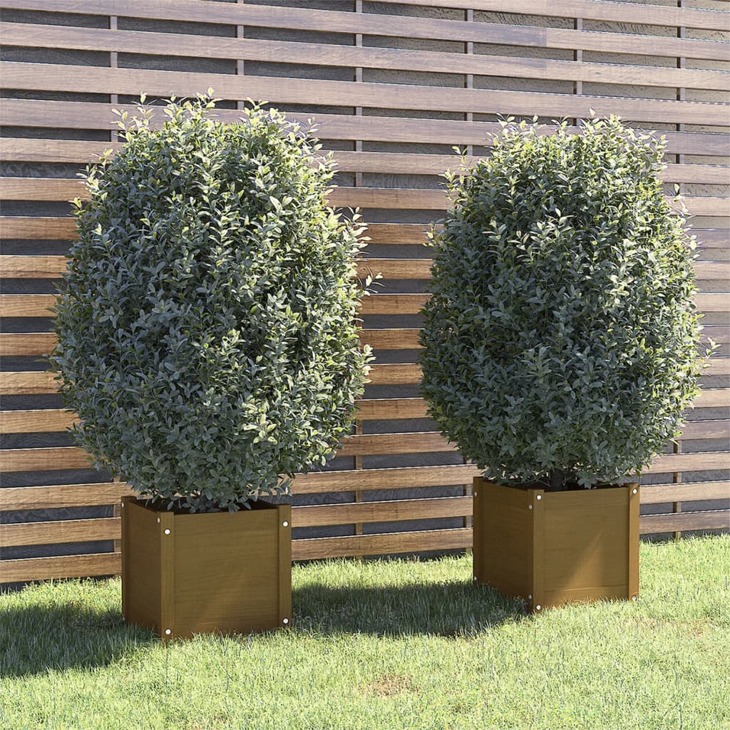 Plantenbakken 2 St 40X40X40 Cm Massief Grenenhout Honingbruin