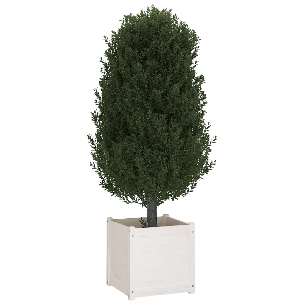 Plantenbakken 2 St 50X50X50 Cm Massief Grenenhout Wit