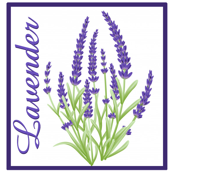 Wellys 10 Stuks Bamboe Patch 'Lavendel'