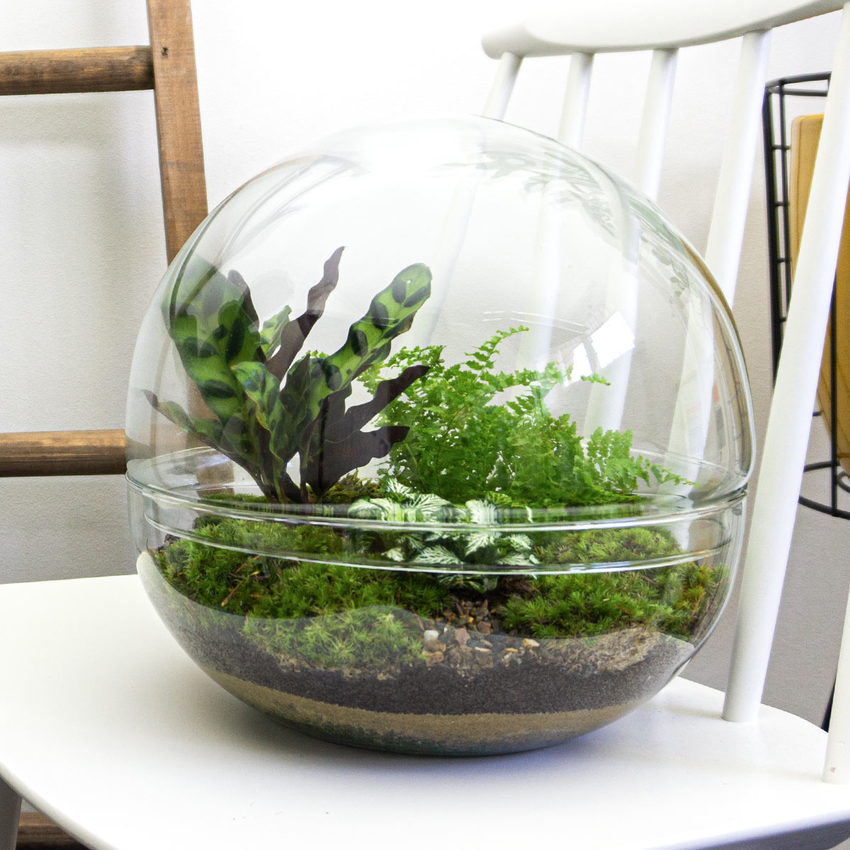 Diy Terrarium – Dome Xl – ↑ 30 Cm