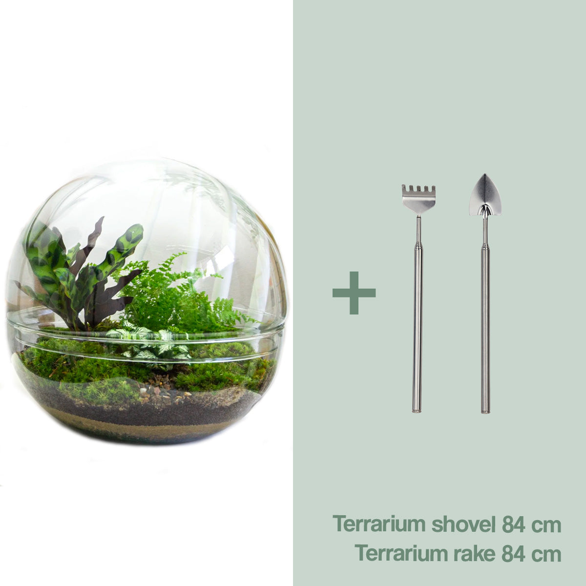 Diy Terrarium – Dome Xl – ↑ 30 Cm