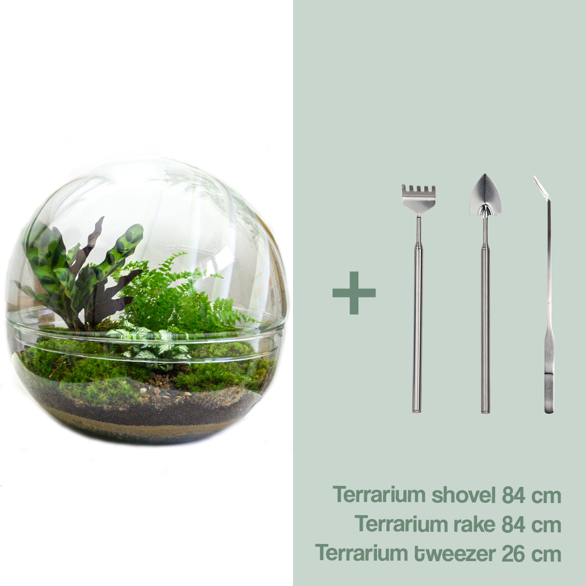 Diy Terrarium – Dome Xl – ↑ 30 Cm