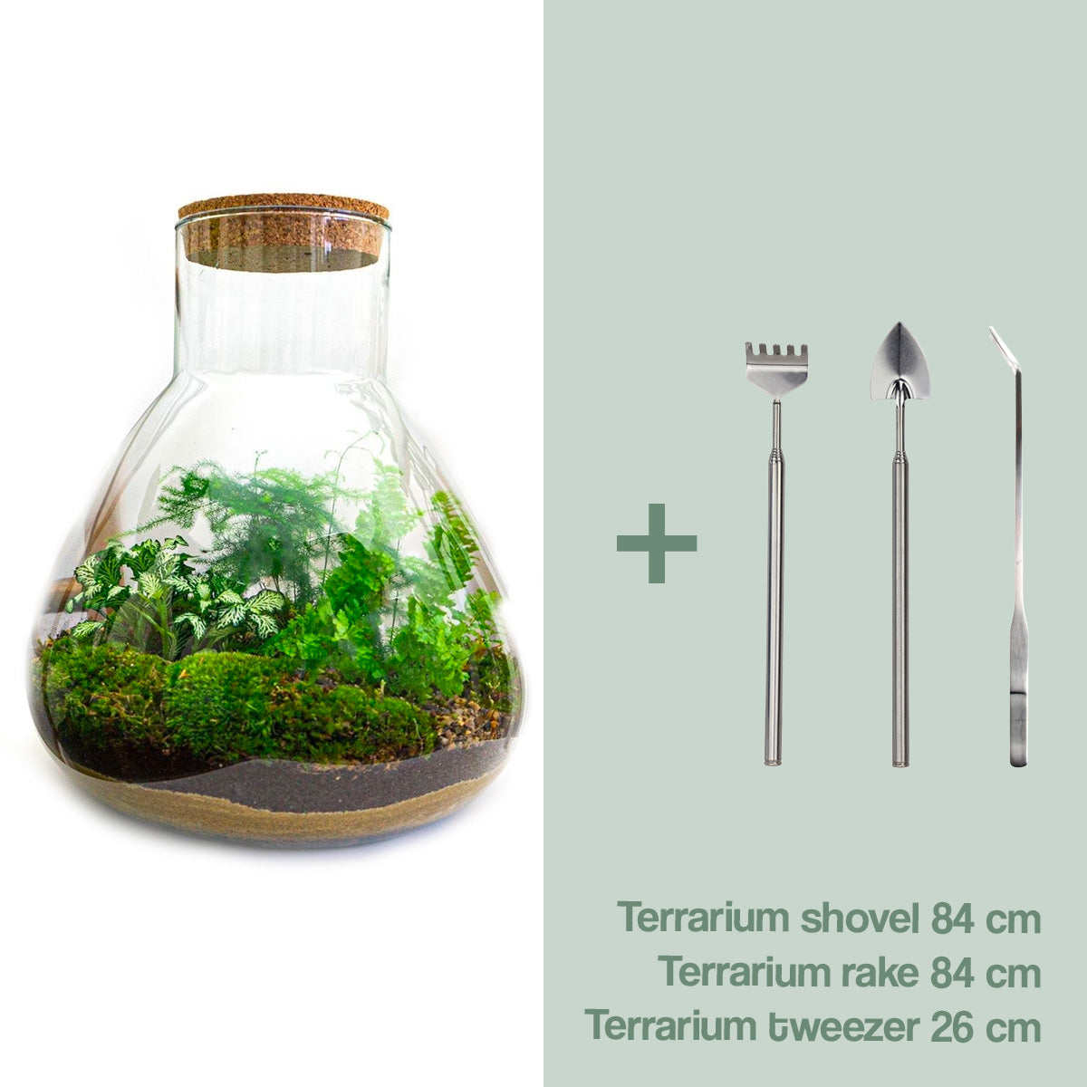 Diy Terrarium – Sam Xl – ↑ 35 Cm