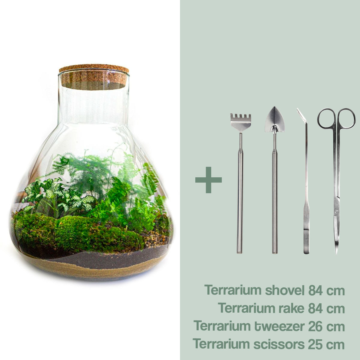 Diy Terrarium – Sam Xl – ↑ 35 Cm