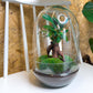 Diy Terrarium – Egg Xl – Ficus Ginseng Bonsai – ↑ 30 Cm