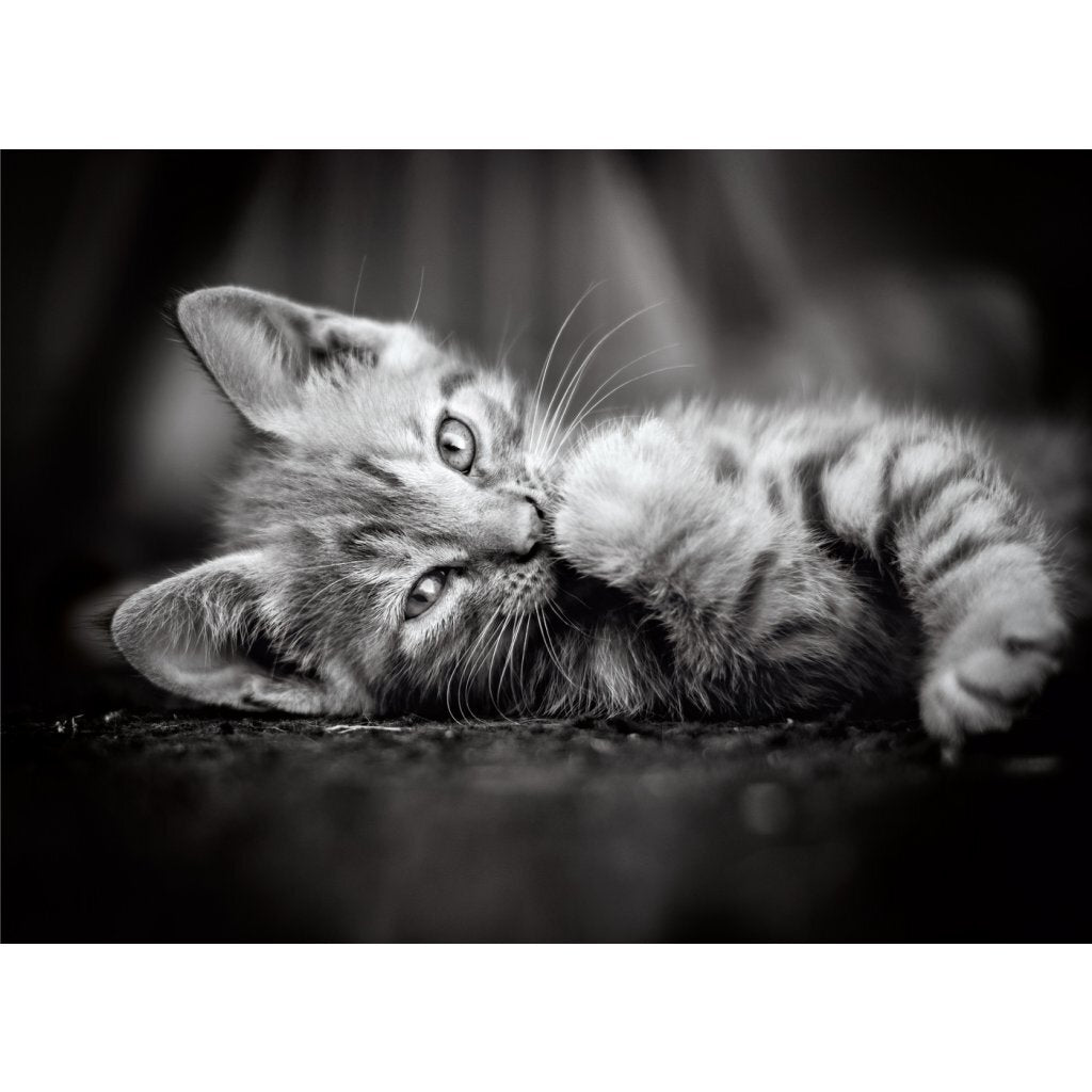 Clementoni High Quality Collection Puzzel Kitty 1000 Stukjes