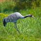 Ubbink Dierenfiguur Kraanvogel 72 Cm