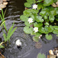 Ubbink 3-Delige Waterlelieset Decoratief Wit