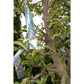 Velda Bird Blocker Band 45 M 148200