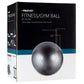 Avento Fitnessbal 55 Cm Zilverkleurig