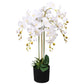 Kunstplant Met Pot Orchidee 75 Cm Wit