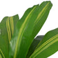 Kunst Dracena Plant Met Pot 90 Cm Groen