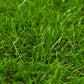 Kunstgras 1,5X10 M/40 Mm Groen